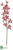 Cymbidium Orchid Spray - Watermelon - Pack of 12