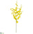 Oncidium Orchid Spray - Yellow - Pack of 12