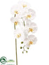 Silk Plants Direct Phalaenopsis Orchid Spray - White - Pack of 6