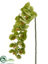 Silk Plants Direct Phalaenopsis Orchid Spray - Green - Pack of 12