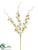 Dendrobium Orchid Spray - Cream Orchid - Pack of 12