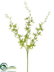Dendrobium Orchid Spray - Green Cream - Pack of 12