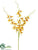 Dendrobium Orchid Spray - Yellow Red - Pack of 12