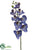 Phalaenopsis Orchid Spray - Delphinium - Pack of 12
