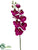 Phalaenopsis Orchid Spray - Orchid - Pack of 12