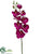 Phalaenopsis Orchid Spray - Orchid - Pack of 12