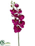 Silk Plants Direct Phalaenopsis Orchid Spray - Orchid - Pack of 12