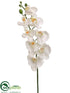 Silk Plants Direct Phalaenopsis Orchid Spray - White - Pack of 12