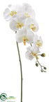 Silk Plants Direct Phalaenopsis Orchid Spray - Cream Yellow - Pack of 12