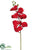 Phalaenopsis Orchid Spray - Crimson - Pack of 12