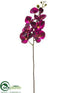 Silk Plants Direct Phalaenopsis Orchid Spray - Plum - Pack of 12