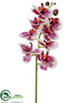 Silk Plants Direct Phalaenopsis Orchid Spray - Cream Orchid - Pack of 12