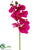 Phalaenopsis Orchid Spray - Orchid - Pack of 12