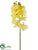 Phalaenopsis Orchid Spray - Yellow - Pack of 12