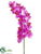 Phalaenopsis Orchid Spray - Orchid - Pack of 12