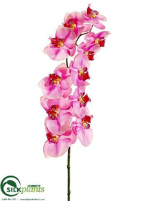 Phalaenopsis Orchid Spray - Pink - Pack of 12