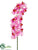 Phalaenopsis Orchid Spray - Pink - Pack of 12