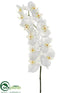 Silk Plants Direct Phalaenopsis Orchid Spray - White - Pack of 12