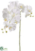 Silk Plants Direct Phalaenopsis Orchid Spray - Cream - Pack of 12