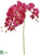 Phalaenopsis Orchid Spray - Fuchsia - Pack of 12