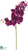 Phalaenopsis Orchid Spray - Violet - Pack of 12