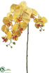 Silk Plants Direct Phalaenopsis Orchid Spray - Yellow Burgundy - Pack of 12