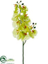 Silk Plants Direct Phalaenopsis Orchid Spray - Lime Light - Pack of 12