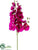 Phalaenopsis Orchid Spray - Orchid - Pack of 12