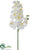 Phalaenopsis Orchid Spray - White - Pack of 12