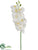 Phalaenopsis Orchid Spray - White - Pack of 12