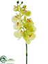 Silk Plants Direct Phalaenopsis Orchid Spray - Lime Light - Pack of 6