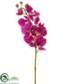 Silk Plants Direct Phalaenopsis Orchid Spray - Orchid Cream - Pack of 6