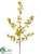 Oncidium Orchid Spray - Yellow - Pack of 12