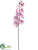 Silk Plants Direct Phalaenopsis Orchid Spray - Peach Soft - Pack of 6