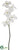 Vanda Orchid Spray - White - Pack of 12