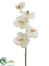 Silk Plants Direct Vanda Orchid Spray - Cream - Pack of 12