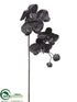 Silk Plants Direct Phalaenopsis Orchid Spray - Black - Pack of 12