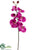 Phalaenopsis Orchid Spray - Violet - Pack of 12