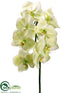 Silk Plants Direct Phalaenopsis Orchid Spray - Green - Pack of 12