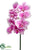 Phalaenopsis Orchid Spray - Orchid Violet - Pack of 12