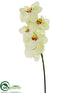 Silk Plants Direct Phalaenopsis Orchid Spray - Green Light - Pack of 12