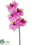 Silk Plants Direct Phalaenopsis Orchid Spray - Orchid Two Tone - Pack of 12