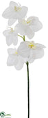 Silk Plants Direct Phalaenopsis Orchid Spray - White - Pack of 12