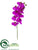 Phalaenopsis Orchid Spray - Orchid - Pack of 12