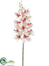 Silk Plants Direct Vanda Orchid Spray - Cream Fuchsia - Pack of 12