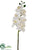 Phalaenopsis Orchid Spray - White - Pack of 12