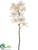Vanda Orchid Spray - Cream Pink - Pack of 6
