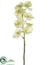 Silk Plants Direct Vanda Orchid Spray - Green Two Tone - Pack of 6