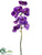 Vanda Orchid Spray - Lavender Orchid - Pack of 6
