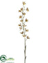 Silk Plants Direct Mini Cymbidium Orchid Spray - Green Burgundy - Pack of 12